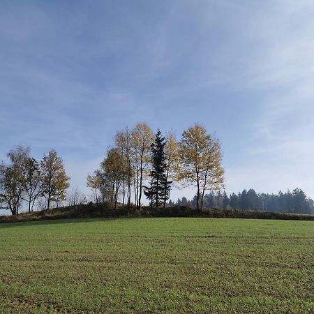 Kindererlebnis- Und Biobauernhof Hipp-Bruckner Wornharts Extérieur photo