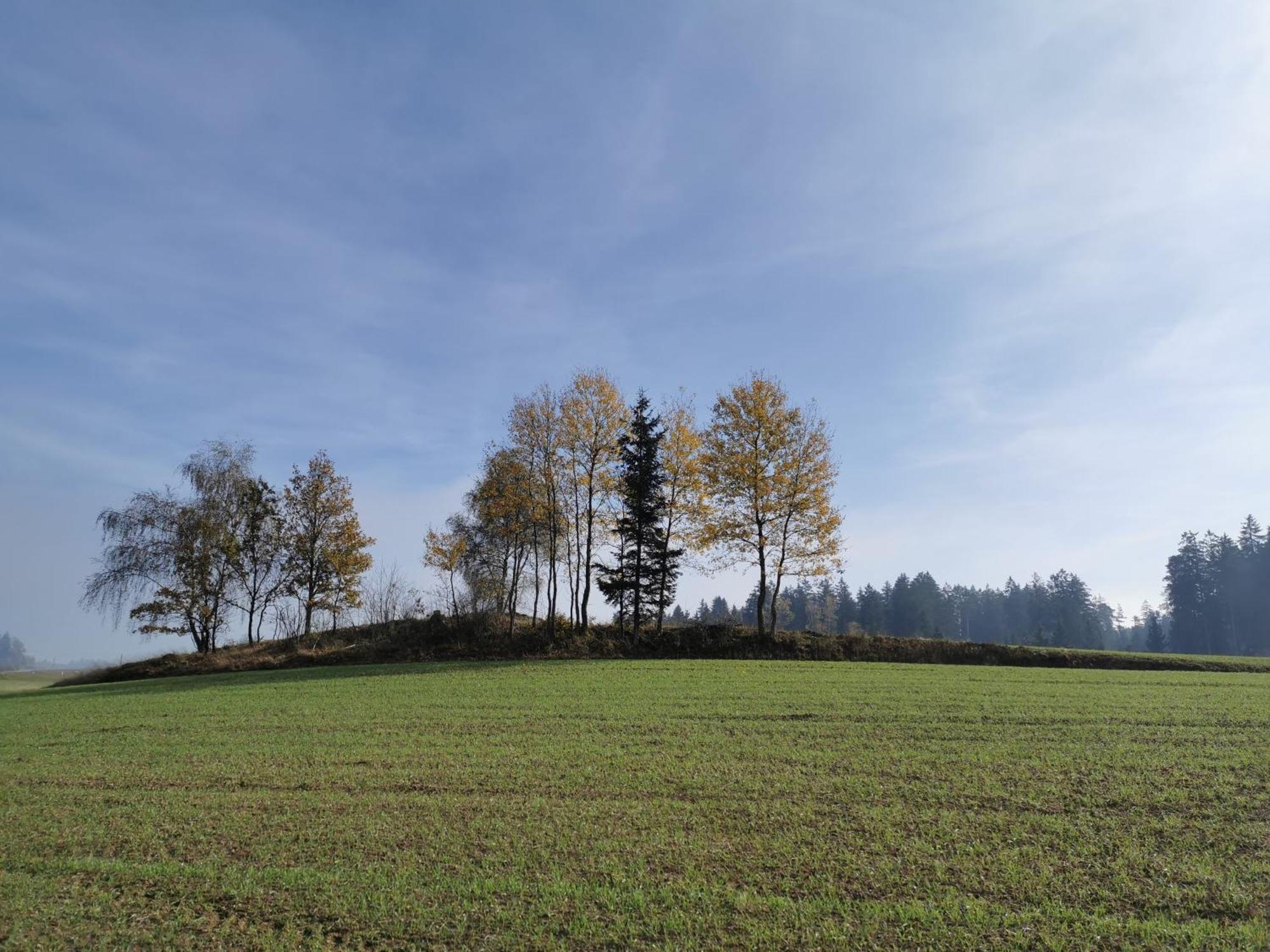 Kindererlebnis- Und Biobauernhof Hipp-Bruckner Wornharts Extérieur photo